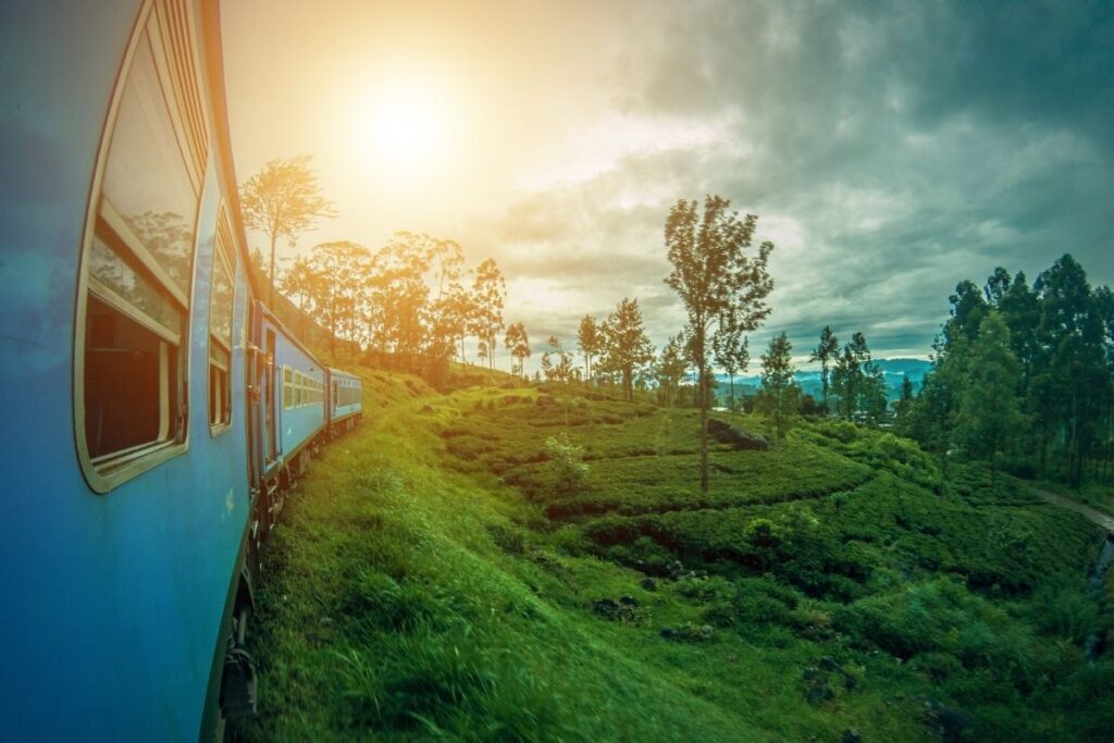 Please Stay Seated While The Train Is Moving