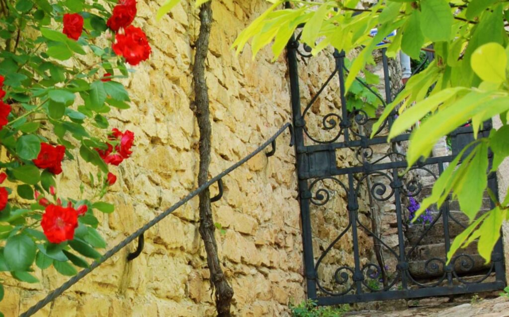 2020 Election. Brick and stone outside stairway with iron gate and red flowers