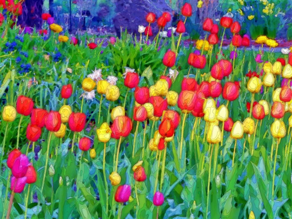 Health Savings Account. Coloring painting of field full of tulips