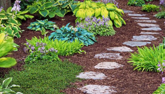 Learning About Financial Planning with our Intern Joel