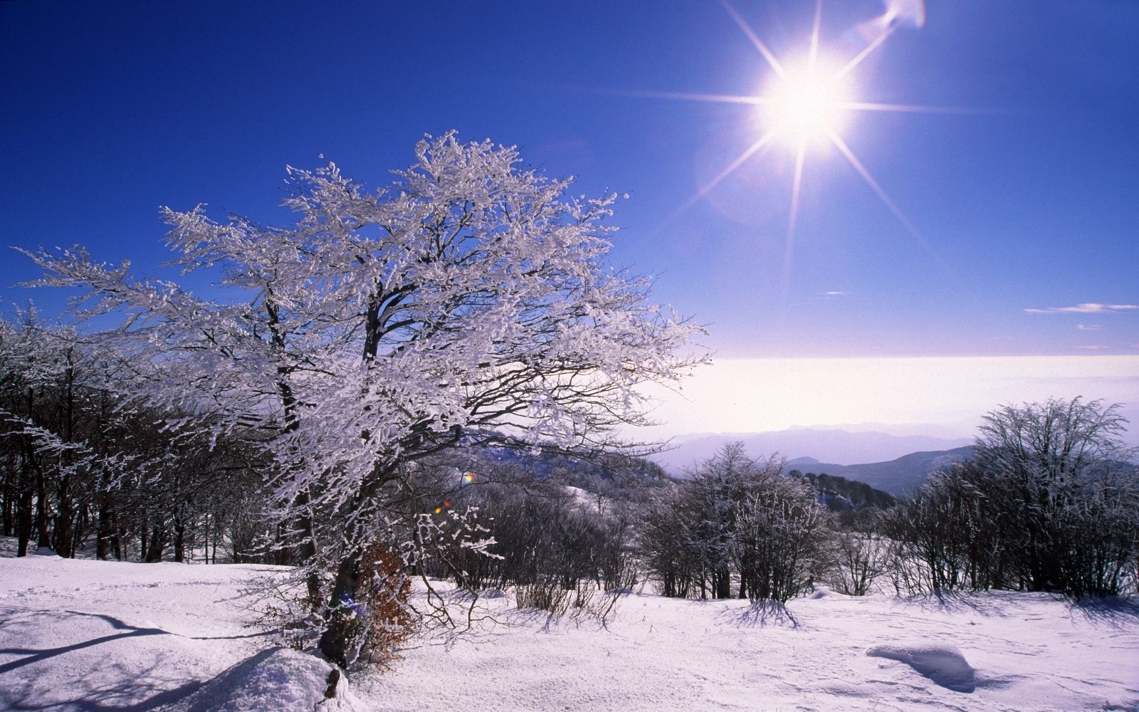 The Game Stop Problem