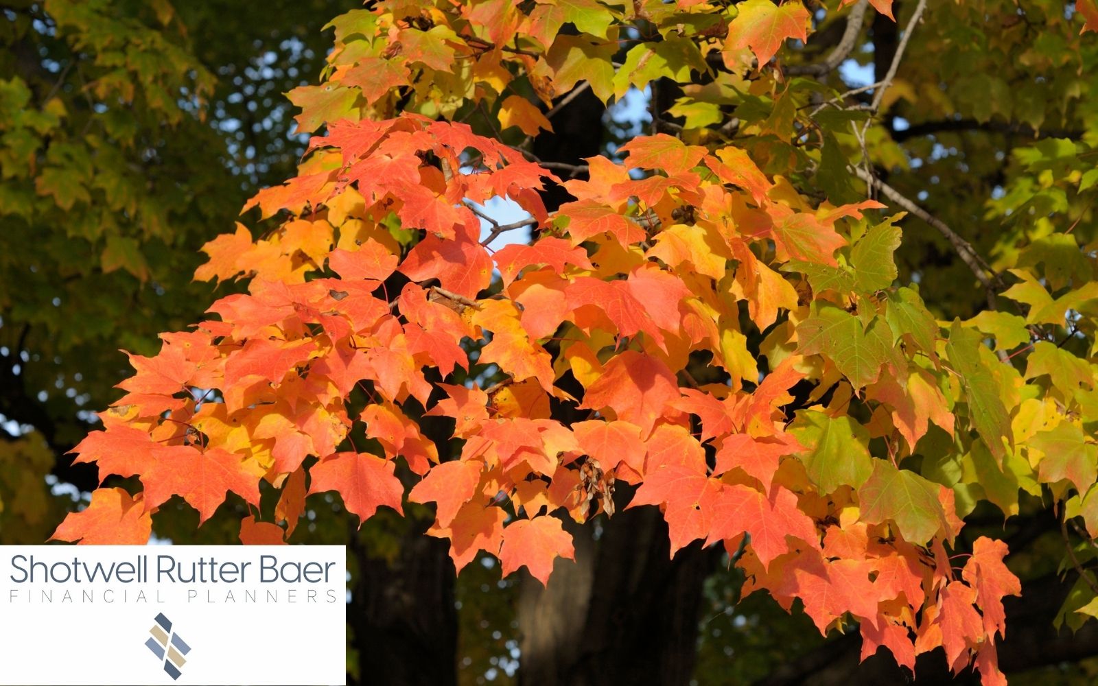 Step Five Organization