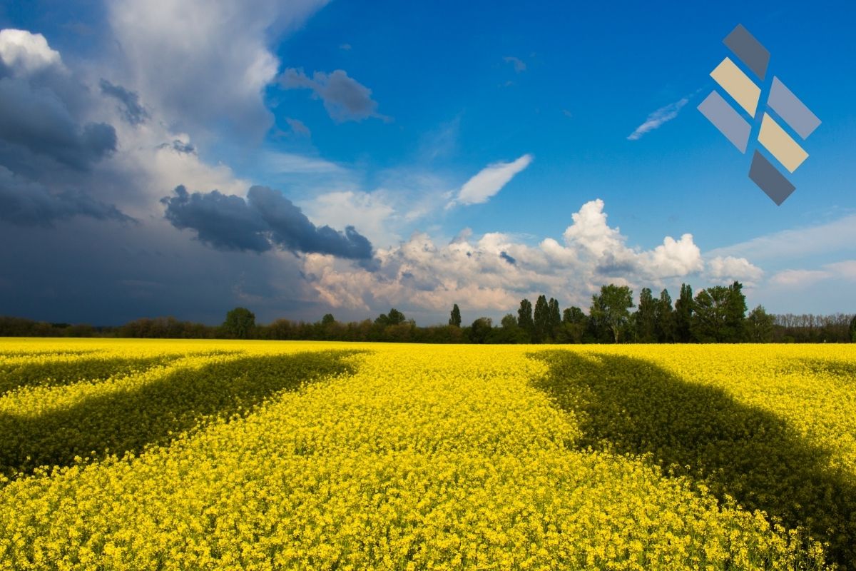 The Russian Ukrainian Conflict And The Economy