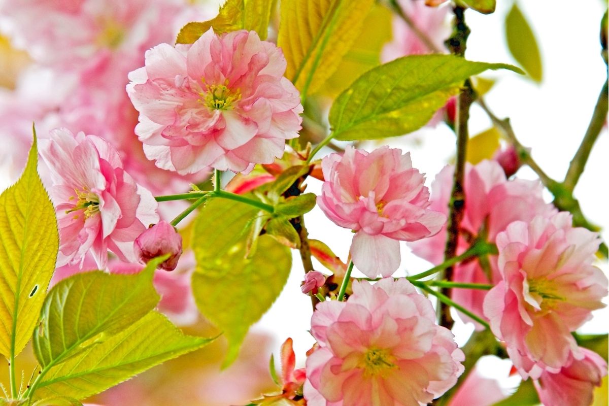 Reviewing Your 2021 Tax Return