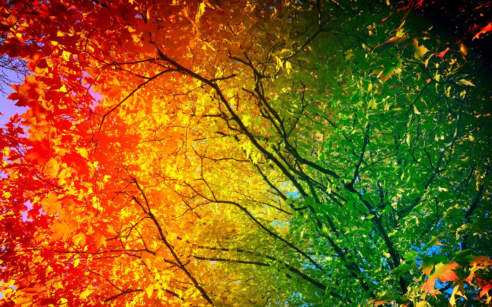 Marketing Timing (podcast)