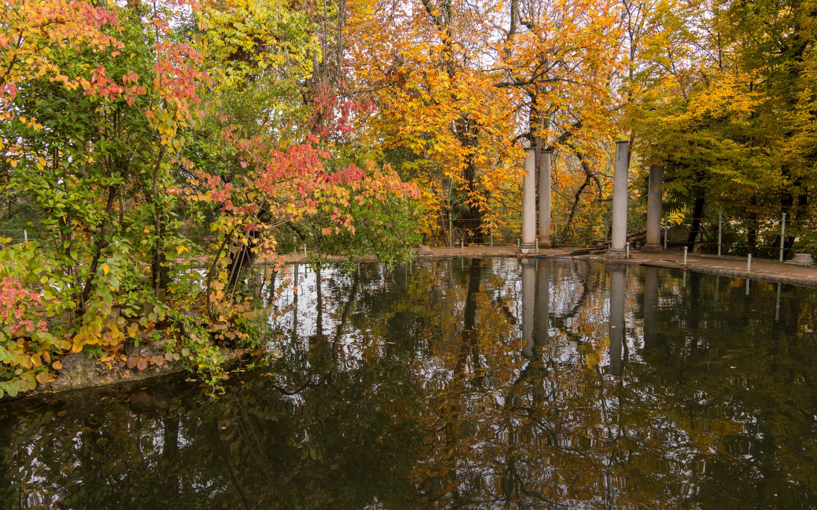 Dave's Client Update October 2023