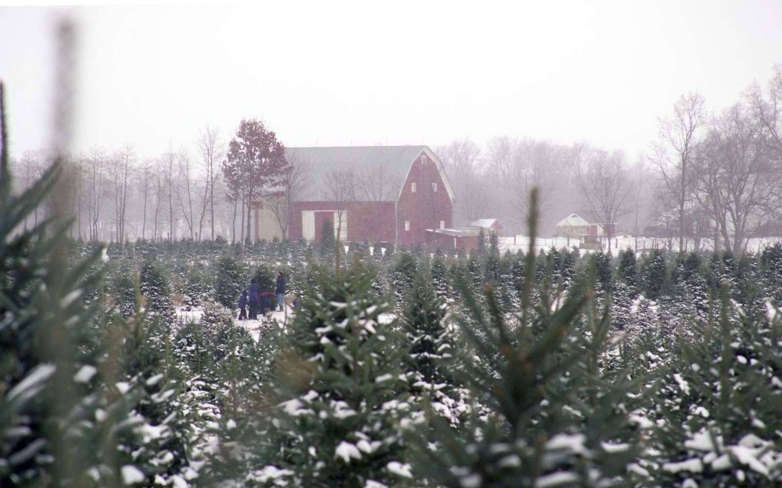 Dave's November 2023 Market Update