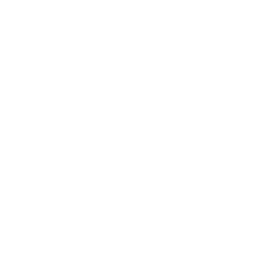 Investment Management