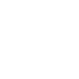 Social Security Optimization