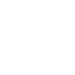 Organize and Implement the Plan