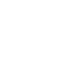 The Davies Project for Mid-Michigan Children